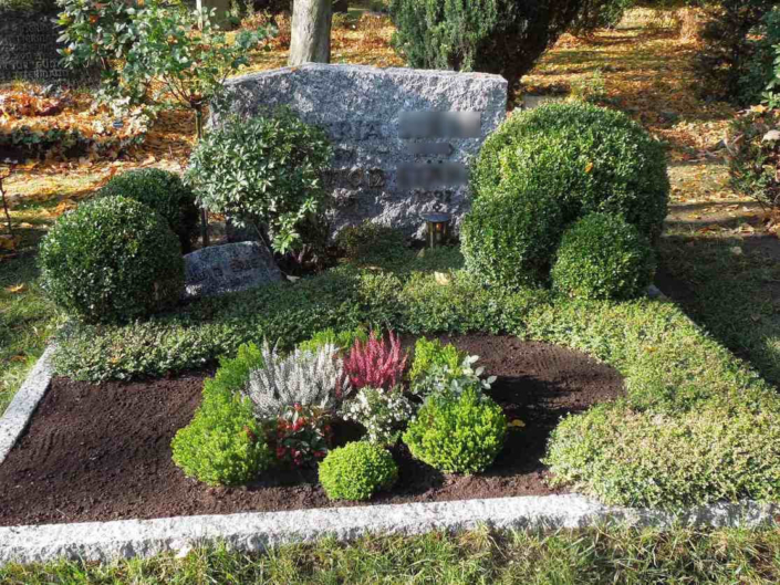 grave ready for planting